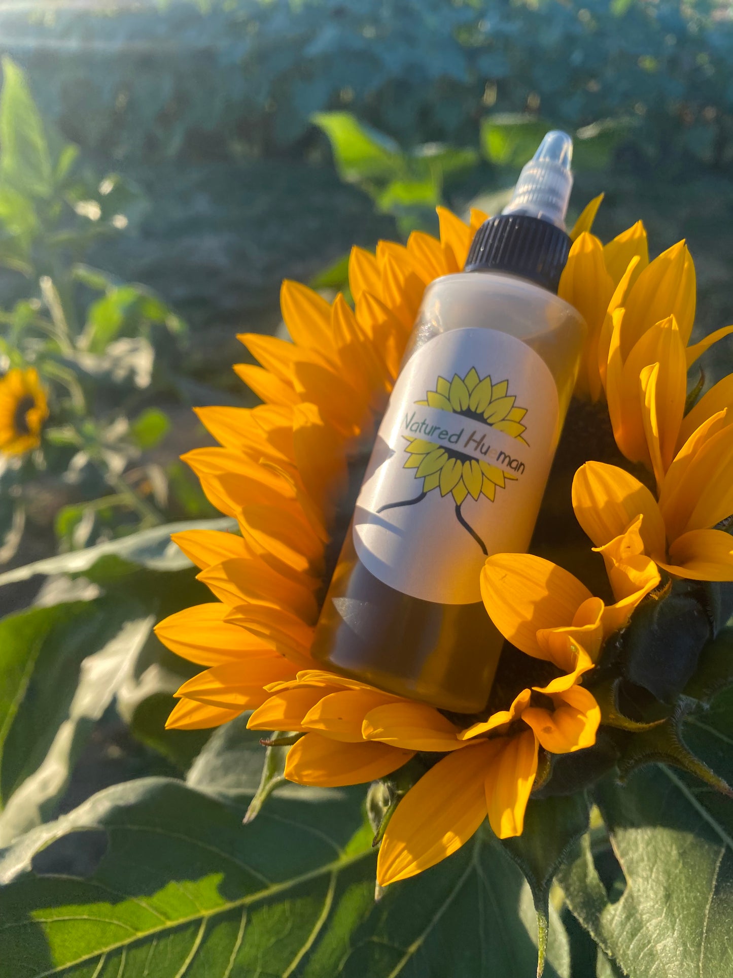 Hair And Scalp Oil